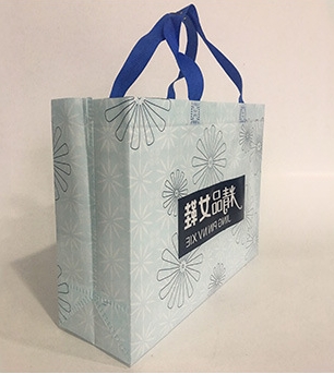 女鞋無紡布手提袋子定做